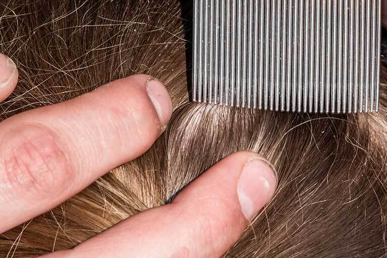 Läusekamm in Haaren