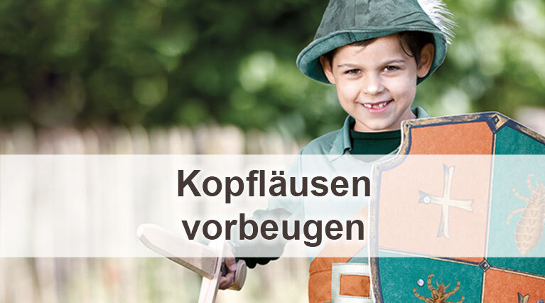 Ein ungefähr sechsjähriger Junge steht im Sommer in der Natur. Er ist verkleidet als ein Ritter oder Robin Hood, der einen Schild und einen Hut trägt. Er hat ein Holzschwert kampfbereit in der rechten Hand und lächelt entschlossen. Auf dem Schild ist ein Wappen abgebildet, das auf grünem Grund eine Laus und auf orangenem Grund ein Kreuz zeigt. Unten im Bild steht auf weißem Grund der Schriftzug "Kopfläusen vorbeugen".