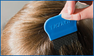 Das Foto illustriert die Anwendung des Licencer Läusekammes, der auf dem Foto gerade im Haaransatz angesetzt wird, um dann damit die Kopfläuse herauszukämmen.