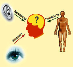 Grafik zum Thema Schwindel. Im Zentrum ein abstrakter Kopf im Profil, darin angedeutet das Gehirn mit einem großen Fragezeichen. Von außen zweigen drei Pfeile in Richtung des Gehirnes, sie gehen aus von einem Ohr, einem Auge und einem menschlichen Körper. Das Ohr und der gesamte Körper übermitteln den Sineseindruck Bewegung an das Gehirn, die Augen übermitteln jedoch Stillstand. Es entsteht vermutlich ein Schwindelgefühl.